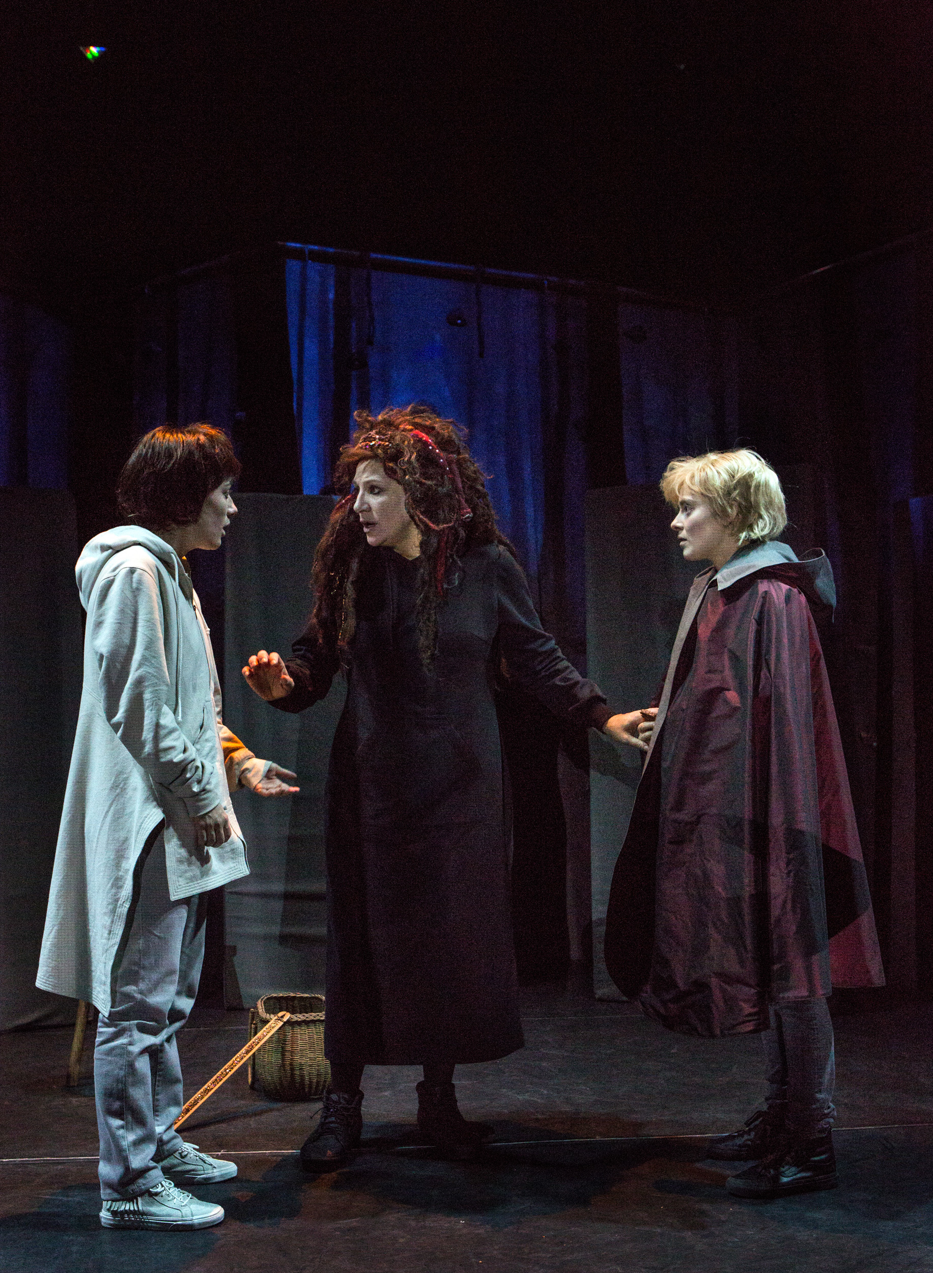 doença-hematológica - Atualizações do setor de apostas no Brasil